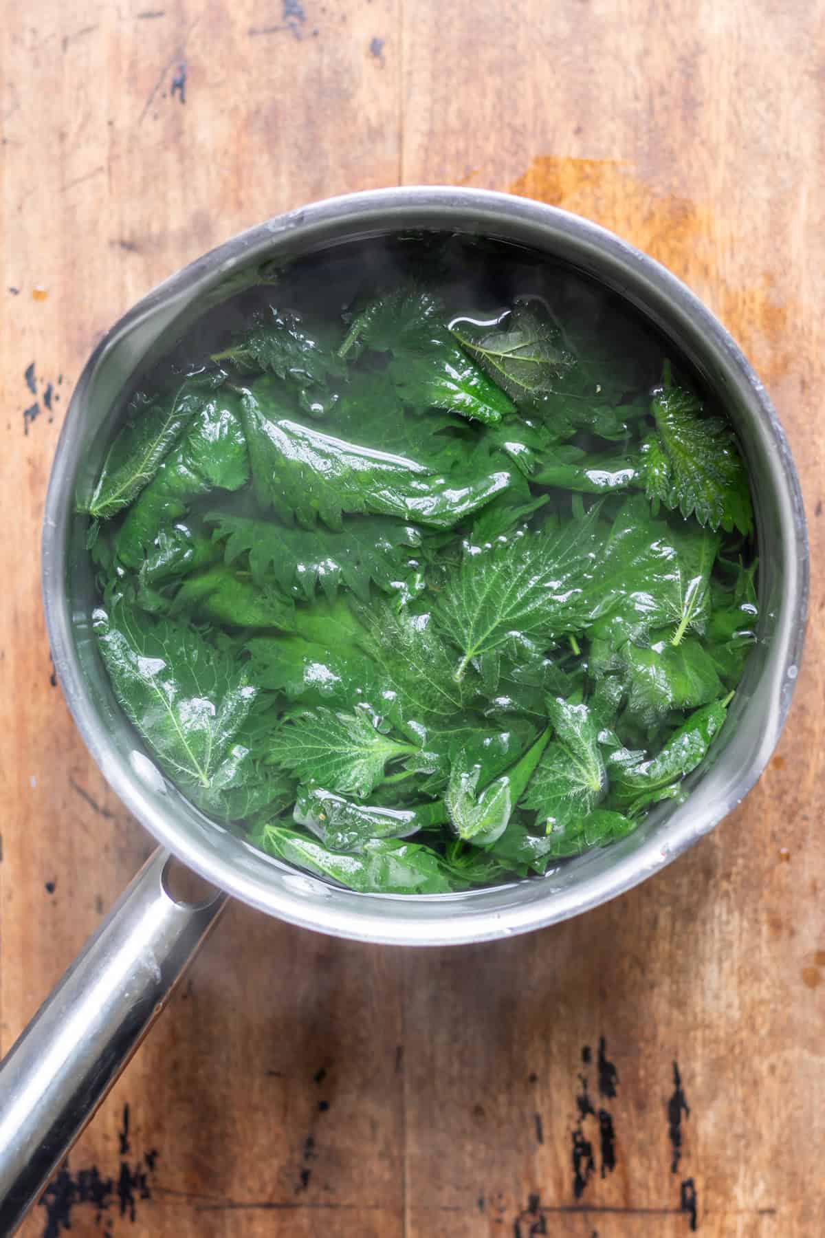Stinging nettle leaves in a pan of boiling water.