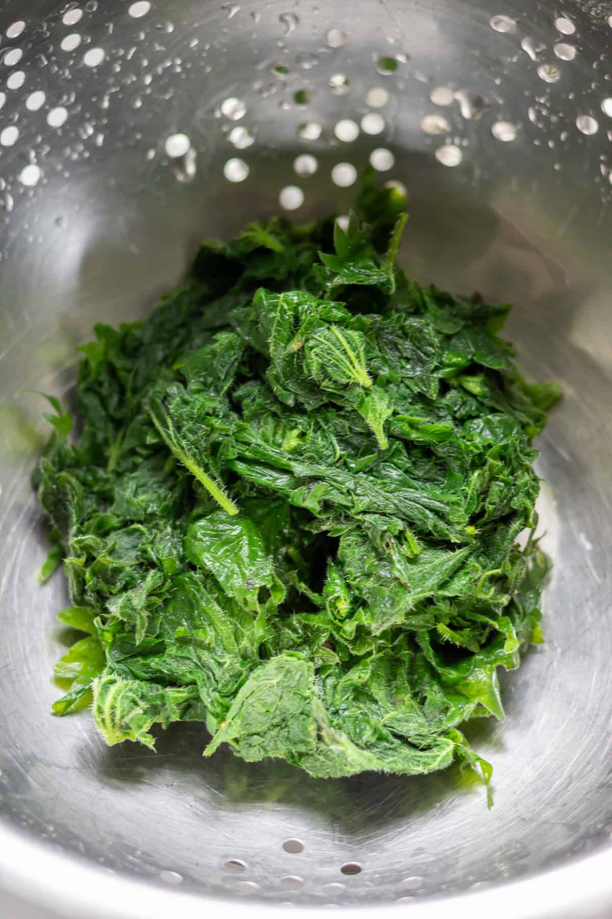 Moisture gently squeezed from the boiled stinging nettles.